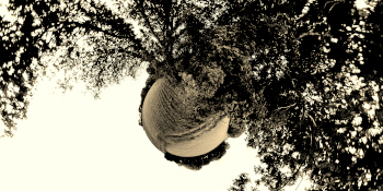 OldSpring Preview Obo360.com Right Reserved