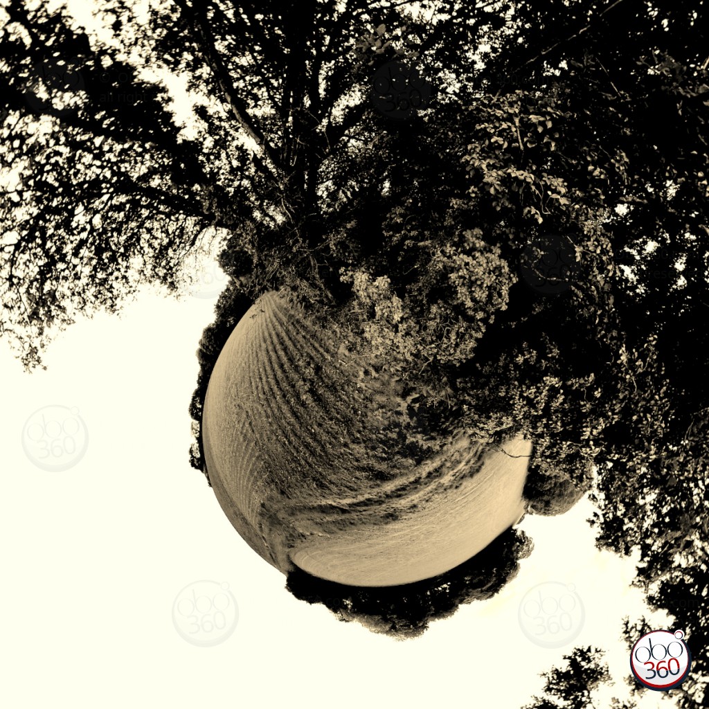 OldSpring Composition artistique réalisée à partir d'une vue à 360°, prise entre un champ fraîchement labouré et une haie d'arbres touffus, quelque part en Finistère.