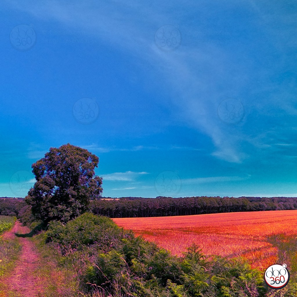 Composition artistique à partir d'une prise de vue à 360°.Photo réalisée dans la campagne quelque part en Bretagne.Plongez directement dans l'oeuvre.