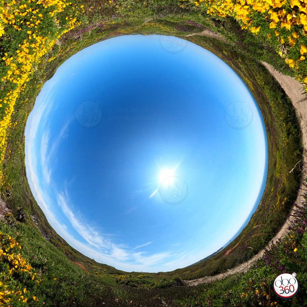 YellowTube Point de vue au format