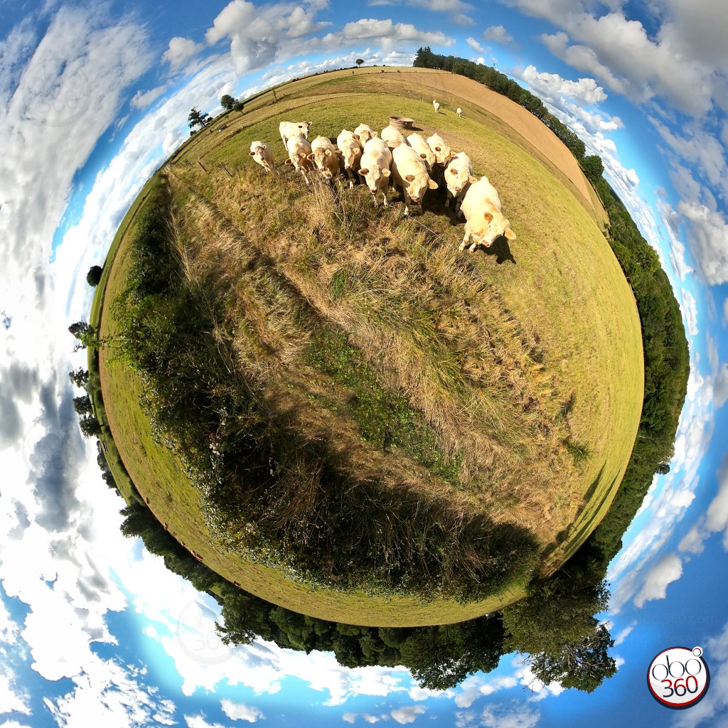 CowTrail Point of view in