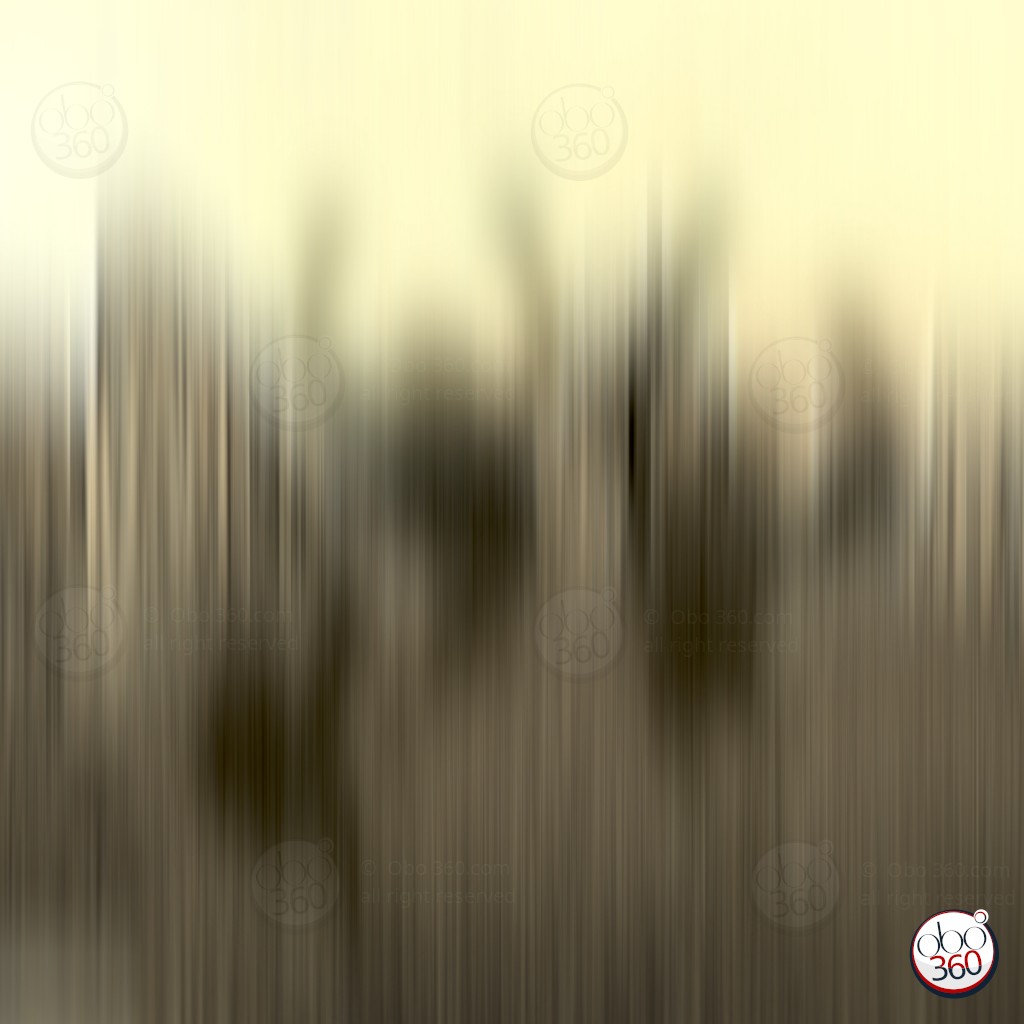 ThreeSouls Composition artistique en flou linéaire HD, réalisée depuis une photo à 360°.