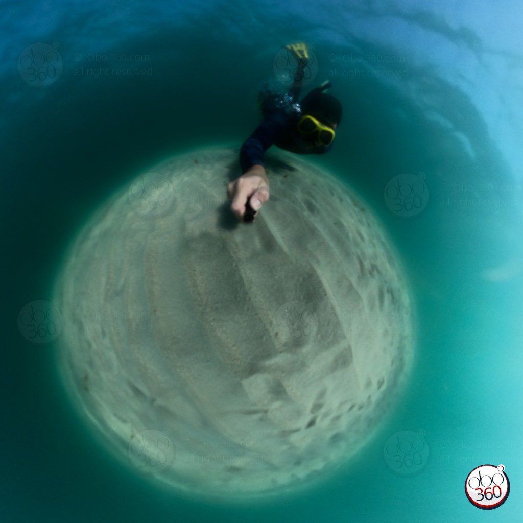 ToDive Composition artistique
