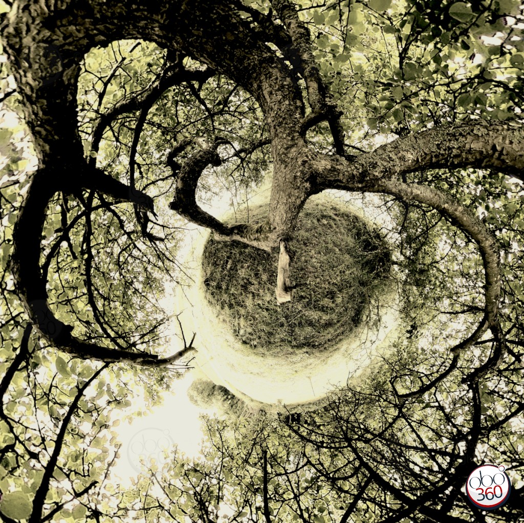 Twister Composition artistique réalisée à partir d'une vue à 360°, prise sur un chemin de randonnée, quelque part en Finistère.