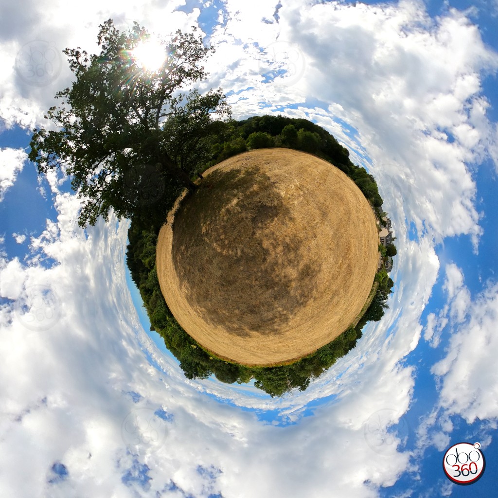 TreeField Point de vue au format