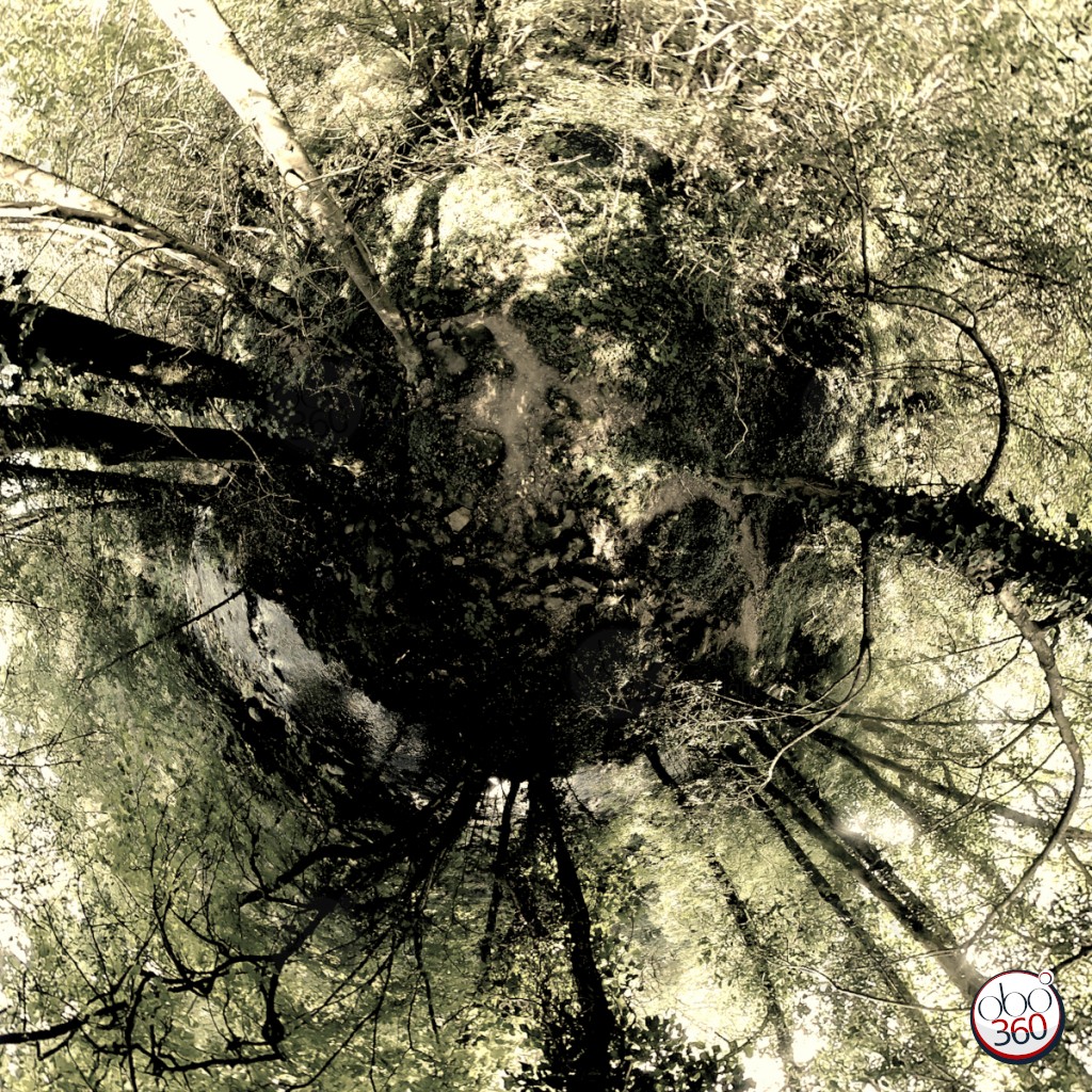 CatchCache Composition artistique réalisée à partir d'une vue à 360°, prise sur un sentier de randonnée confidentiel, quelque part en Finistère.