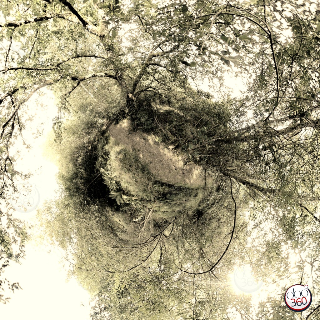 SlimLeaf Composition artistique réalisée à partir d'une vue à 360°, prise sur un sentier de randonnée ombragé, quelque part en Finistère.