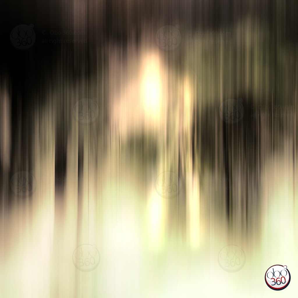 ForestSpirit Composition artistique en flou linéaire HD, réalisée depuis une photo à 360°.