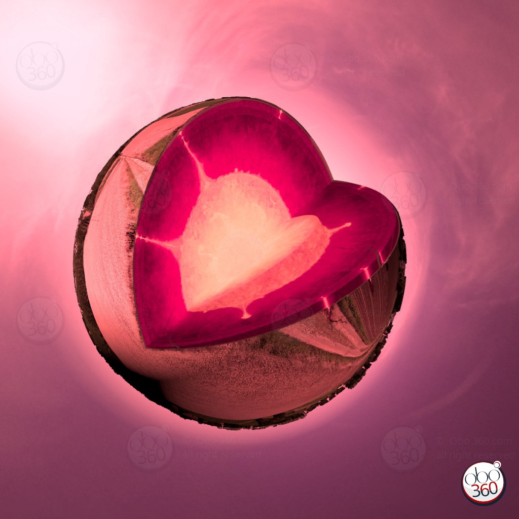 PinkLady Composition artistique à partir d'une prise de vue à 360°.Photo réalisée dans un champ en Bretagne puis retravaillée de façon à obtenir une photo en partie réelle et en partie imaginaire.