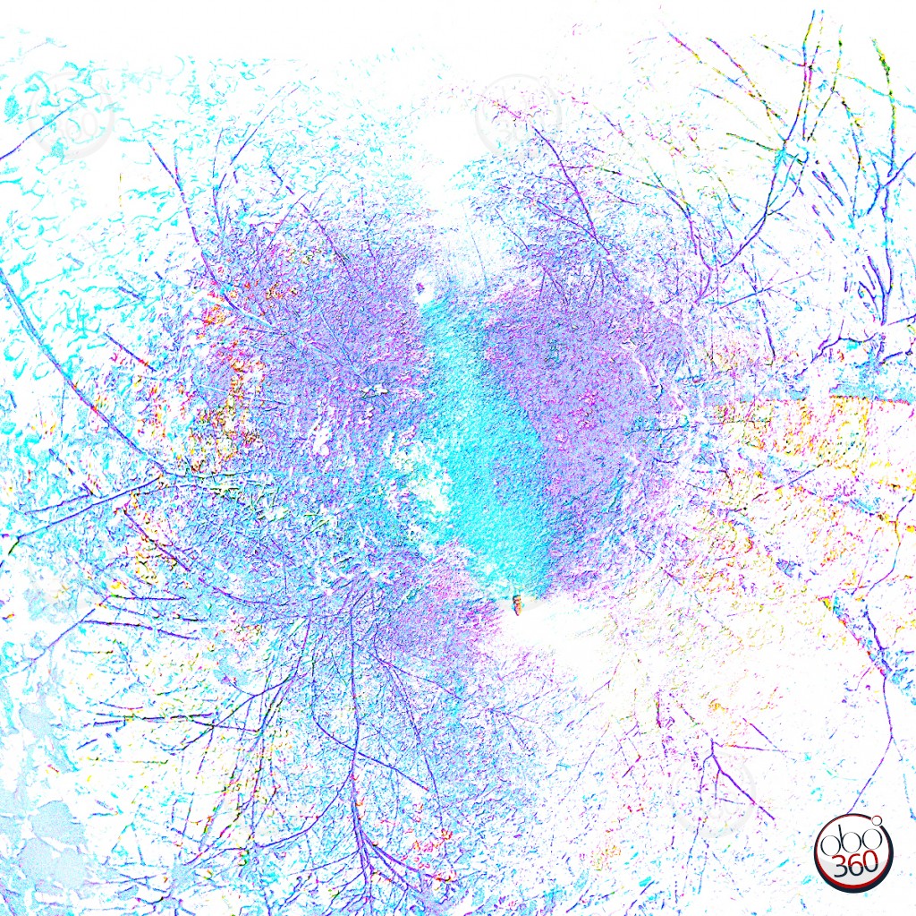 Davigtrail Composition artistique réalisée à partir d'une vue à 360°, prise en pleine forêt sur un chemin de randonnée, non loin de Davignac en Corrèze.
