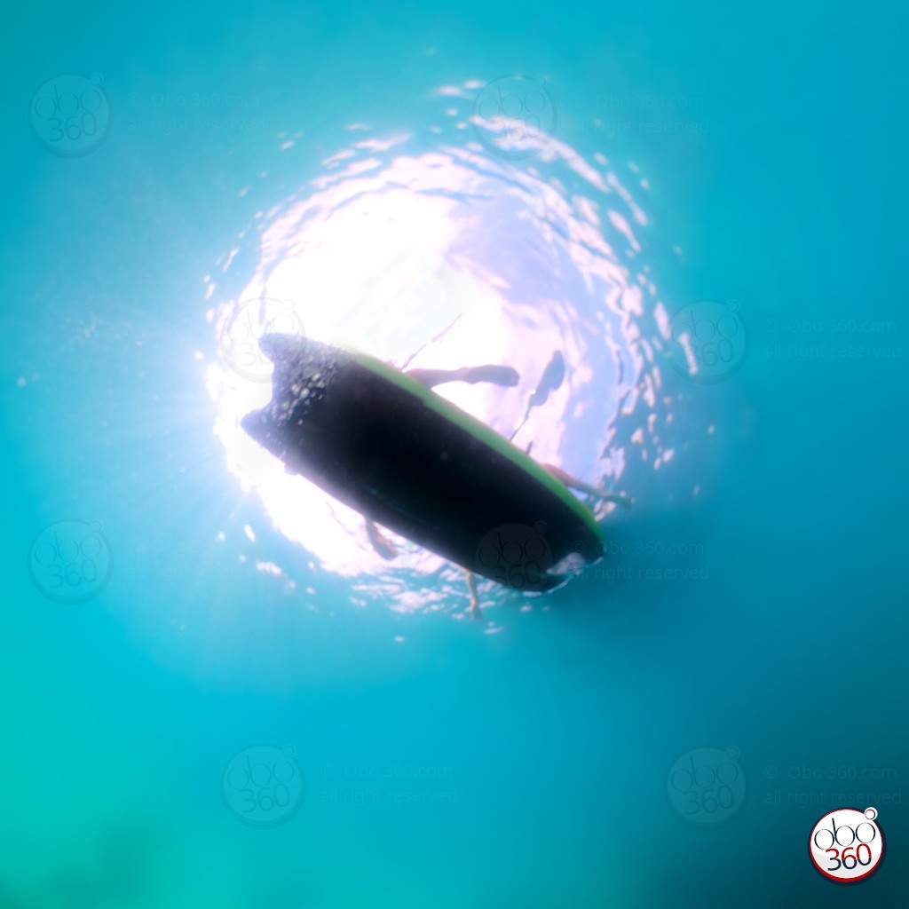 UnderKayak Composition artistique